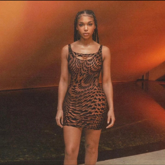 THE “BROWNIE” DRESS